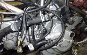 DUCATI MONSTER S4