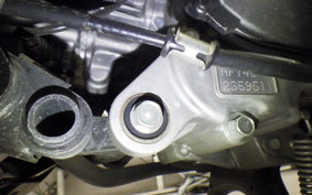 HONDA TACT Basket AF79