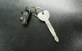 YAMAHA GEAR Gen.2 UA08J