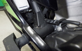 KAWASAKI ZX-4RR 2023