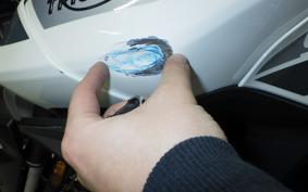 TRIUMPH TIGER 900 GT PRO 2021