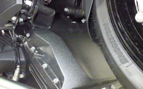 BMW R1300RT ASA 2025