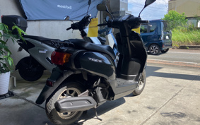 HONDA  TACT  BASIC  AF79