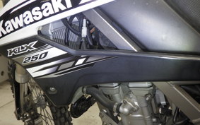 KAWASAKI KLX250 Gen.2 LX250S