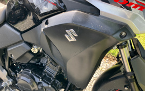 SUZUKI STROM 250ABS DS11A