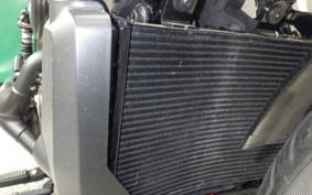 HARLEY RH975S 2024