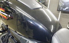 HARLEY RH975S 2024