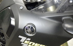 YAMAHA TENERE 700 2020 DM09J