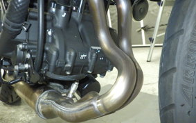 KAWASAKI Z250 Gen.2 2023 EX250Y