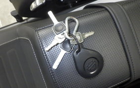 HARLEY FXLRST1920 2025