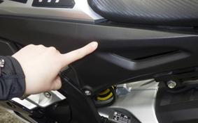 YAMAHA YZF-R15M