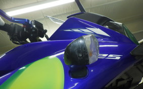 YAMAHA YZF-R25
