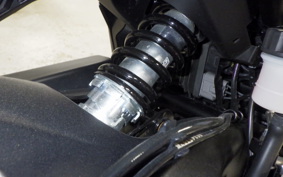 TRIUMPH TRIDENT 660 2024