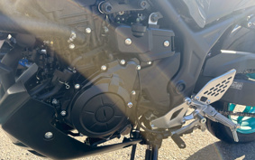 YAMAHA MT-25 RG74J