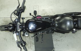 OTHER +HD. XL1200X 2015