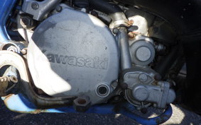 KAWASAKI KDX250SR 2019 DX250F