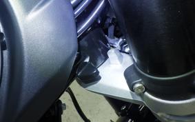 TRIUMPH SPEED TWIN 2026