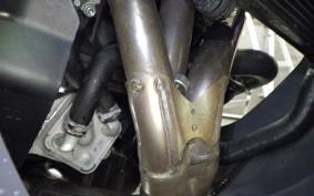 YAMAHA XSR900 GP 2024 RN96J