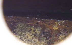 HONDA CRF250 RALLY A 2023 MD44