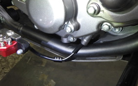 HONDA CRF250L 2025 MD47