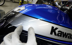 KAWASAKI ZRX1200 D 2010 ZRT20D