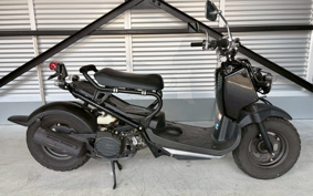 HONDA ZUMAR AF58