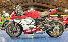 DUCATI PANIGA-REV4 SPECIALE 2018 DA00J
