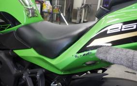 KAWASAKI ZX-25R 2021 ZX250E