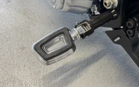 HARLEY  HARLEY FLFBS 2024 YGK