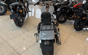 HARLEY FLFBS 2024 YGK