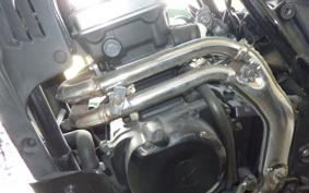 KAWASAKI ELIMINATOR 250 SE 2019 EL250A