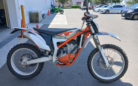 KTM 350 FREERIDE 2015 FRA40