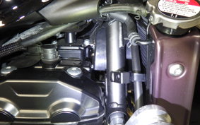 KAWASAKI Z900RS CAFE 2024 ZR900K