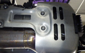 OTHER +HD. ﾊﾟﾝ AMERICA1250S 2021