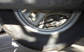 HONDA CREA SCOOPY AF55