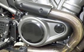 HARLEY ﾊﾟﾝ AMERICA1250S 2021