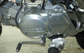HONDA GORILLA 2025 Z50J