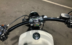 HARLEY FXBRS 2019 YHK
