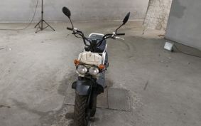 HONDA ZUMAR AF58