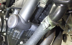 KAWASAKI Z650 RS 2024 ER650R