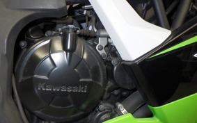 KAWASAKI NINJA 250 SL 2010 BX250A