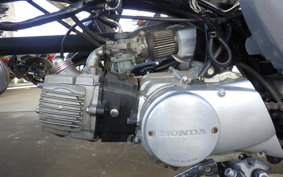 OTHER +UNREGISTERED MODEL by BDS 2022