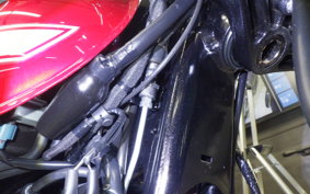 KAWASAKI W800 2021 EJ800E