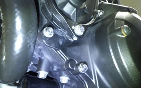 YAMAHA MT-09 ASP RN52J