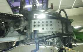 KAWASAKI KLX250 2021 LX250E