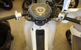 HONDA C110 SUPER CUB JA10
