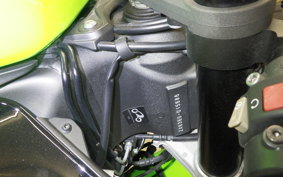 KAWASAKI NINJA ZX-6R A 2021 ZX636G