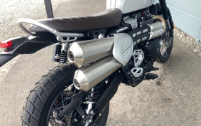TRIUMPH  TRIUMPH  SCRAMBLER 1200X 2025 DADR0H