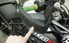 TRIUMPH TIGER 800 XC X 2017