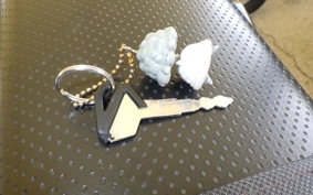 KAWASAKI KLX250D TRACKER X LX250V